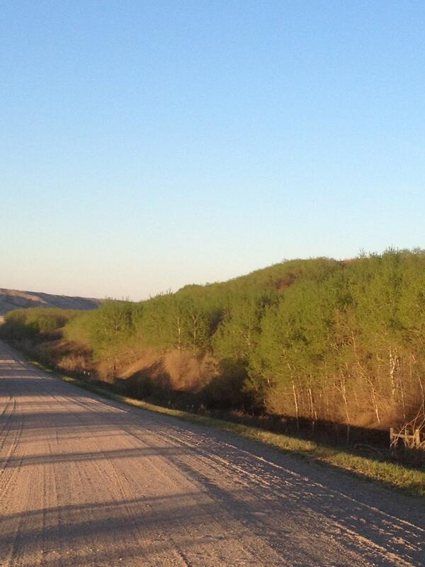 rezzervish's tweet image. our valley is getn green, I love it- seems like we been waitn forever n then all sudden #riverbottom #home