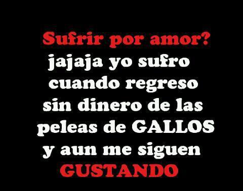 johnnMS's tweet image. jajajaja XD