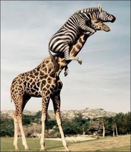 DoodleClick's tweet photo. It's official, we can finally see it...the end of the week is here! http://t.co/tQOA5l726h
