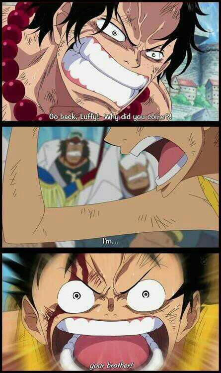 One Piece Türkiye tweet media
