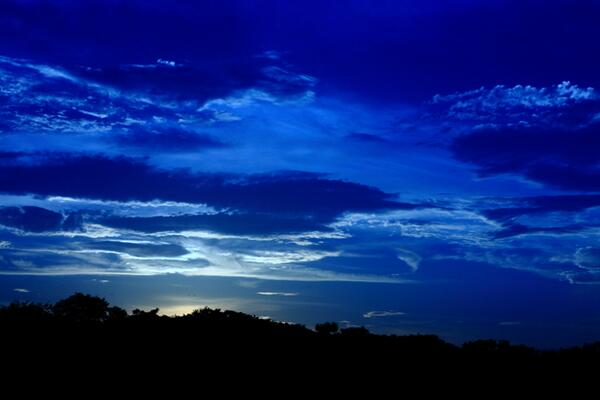 view_show tweet picture