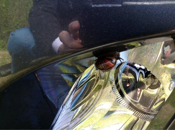 callyesnickoff's tweet photo. И атакуют авто... http://t.co/7bBPoIZxxF