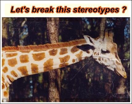 THISPLACE3's tweet image. #SapucaiadoSul
Our agency breaks all kinds of stereotypes!

Sapucaia is much more than just Zoo.