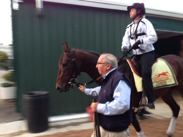 Derby winner <a href="/OrbColt/">Orb</a> and <a href="/Claudemcgaughey/">Claude McGaughey</a> #preakness