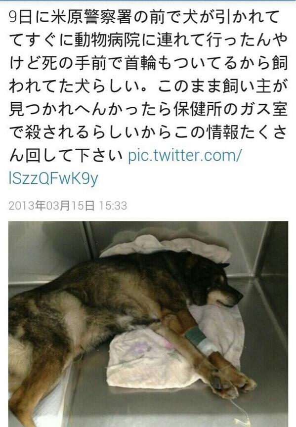 幸村精市 (@yukimura_05) / Posts / X