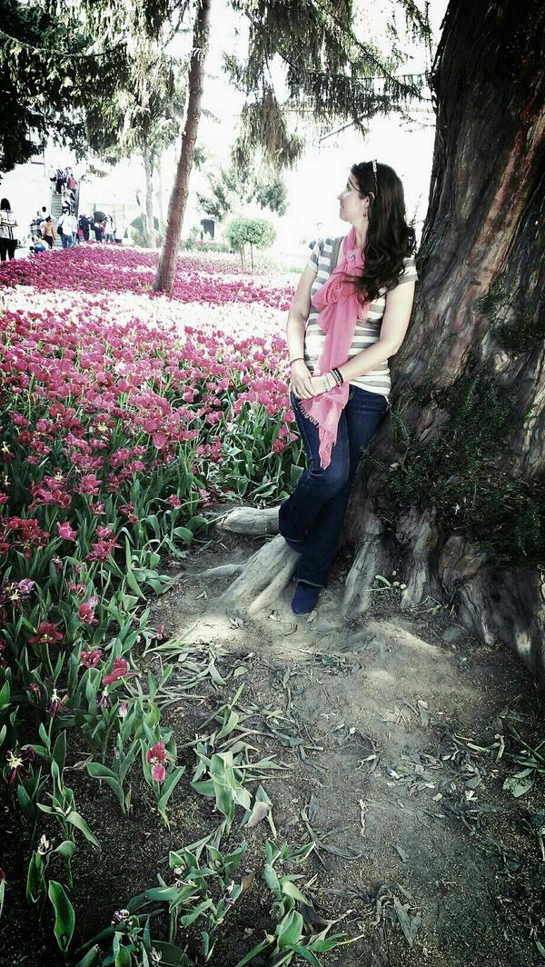 See_Doc_Run's tweet photo. Istanbul: among the tulips http://t.co/sjFJ31rt8N