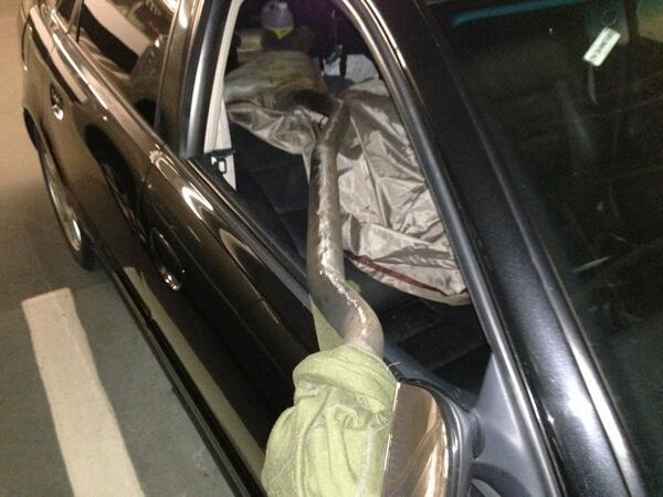 kushmin's tweet photo. @TorontoComms @TOMayorFord Thank you for the giant pothole that destroyed my car's muffler http://t.co/MK4YpWJvQ6