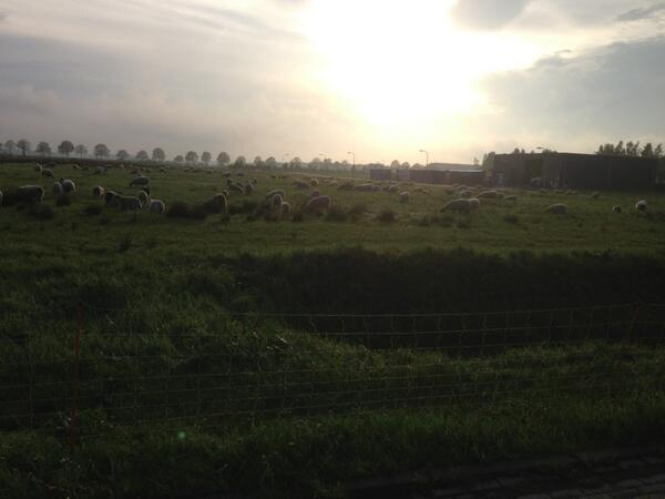 koopsautoschade's tweet photo. Natuurlijk niet industrieel maaien, maar natuurlijk het industrieterrein maaien! @CittaslowBO http://t.co/Gz32kIs1J1