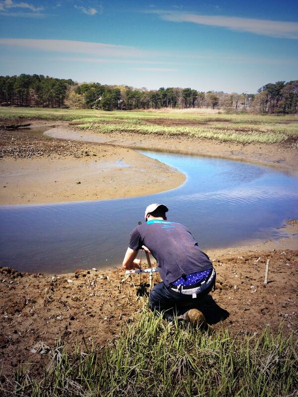 So many salt marshes...so little low tide! #intertidalecology