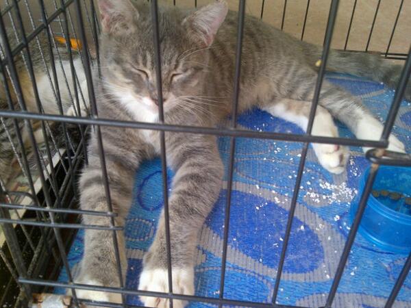 sofeajackk's tweet photo. My boy ciko , aumm muahh! http://t.co/lQp3fs2o7g