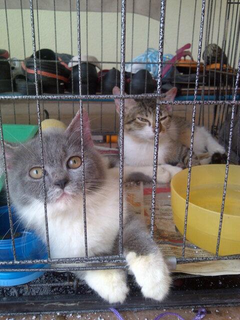 sofeajackk's tweet photo. This two kids so naughty!! Love yah * http://t.co/CV1k8WgfqD
