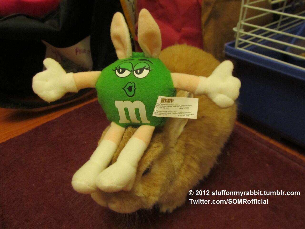 Stuff On My Rabbit on Twitter "Stuff on My Rabbit, Green Stuffed M&M