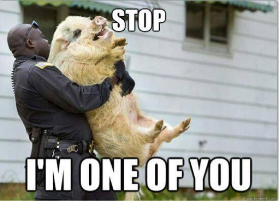 JayMac174's tweet image. Lol