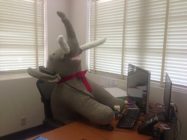 touchstudios's tweet image. Say hello to our new "Tusk"o member! @neelsus