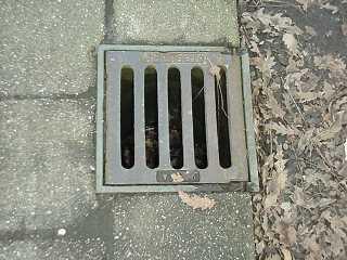 Gaaf! Een houder voor vijf Songfestival CD's: #ESF