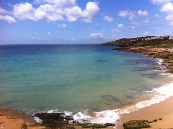 JCqueenbee's tweet image. 