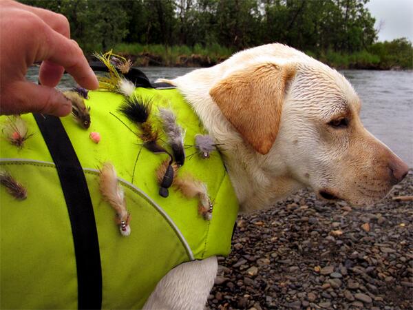 StreamworksOutd's tweet photo. Fishing Buddy / Fly Holder :) http://t.co/Btj3flHEhu