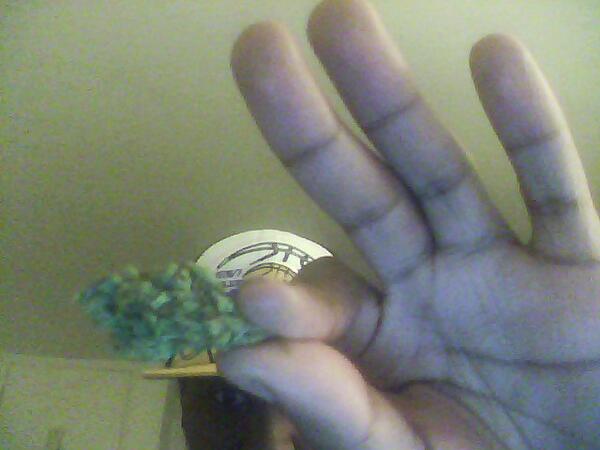 Aligarri8's tweet image. it get better baaaby!!! #rollDatShit