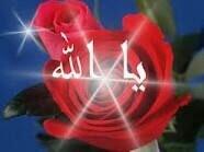 t3b79k's tweet photo. صـ الـ🌹ـورد ـبـاح http://t.co/CM3tPDHRmf