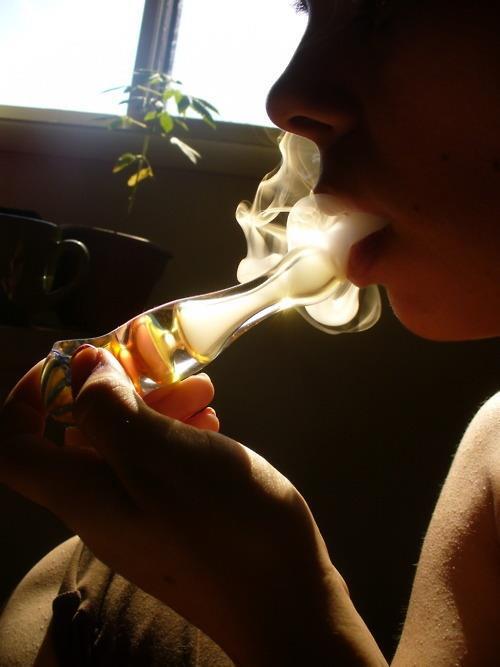 ChicksAndWeeds tweet picture