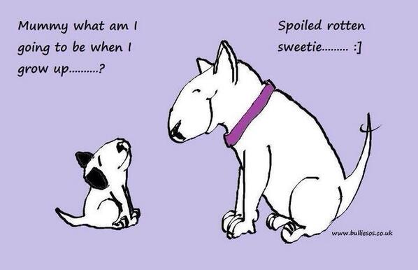puppyfur44's tweet photo. @behemothdog http://t.co/uKldp8SIDQ