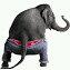 yanmartin's tweet photo. http://t.co/gx67keYK18