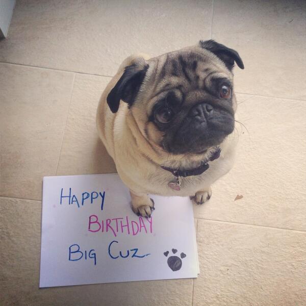 Pomme McNab-Cairns tweet media