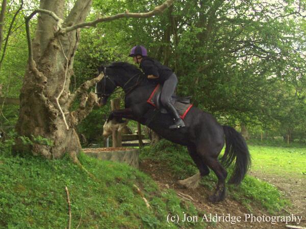 Talk_DerbyToMe's tweet image. Proud that we jumped this and proud of Blackberry, good pony. Not so proud of my lower leg. #Ew #CrossCountryTraining