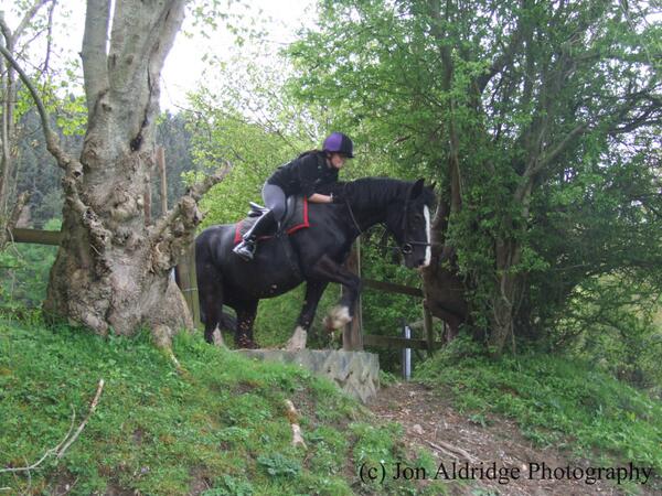 Talk_DerbyToMe's tweet image. At the time: "Oh rats there's a drop! When did that get there?!" #EwThatLowerLeg #CrossCountryTraining