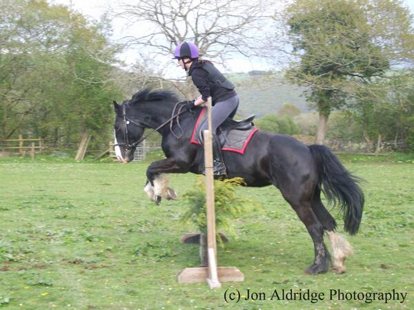 Talk_DerbyToMe's tweet image. OK, last photo. I love this one. Wheee! #Whee #MuchBetterLowerLeg #CrossCountryTraining