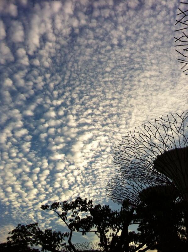 alicelcc's tweet photo. its a sunny day! http://t.co/SGqhM2PDK9
