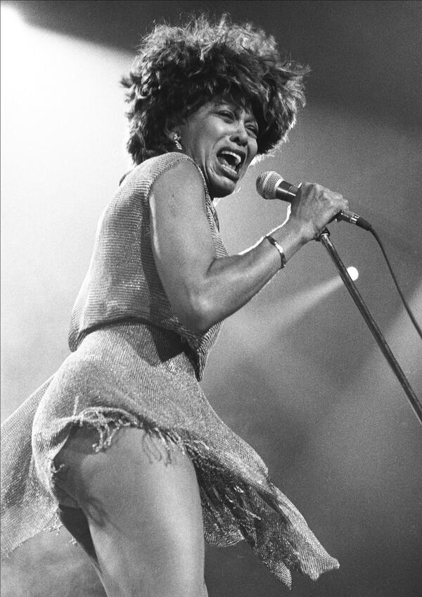 365daysinmusic tweet picture