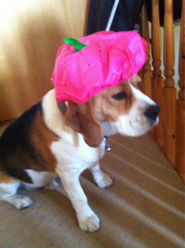 She wore a Raspberry Beret...