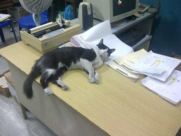 ClaudinaGuzman's tweet photo. RT @HuayoCanto: Les paso una foto de mi contador, muy responsable, http://t.co/HF88RdJlLa // OMG!! Llevaselo a @rejasmagana
