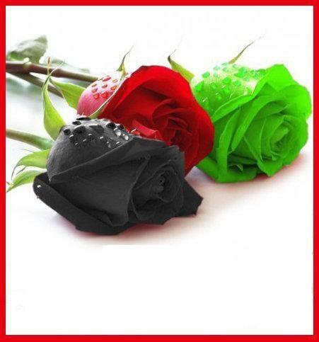 Rami33R's tweet photo. http://t.co/m2xzxF4xwg