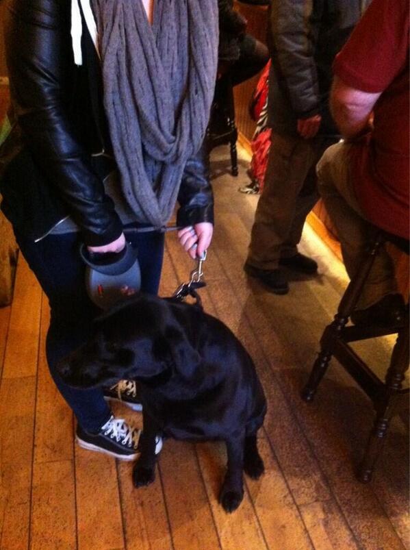 PabloSacramento's tweet photo. @saddleworthnews lost black lab cross, female. Found outside Juntion Inn Denshaw 8pm last night. Still there. http://t.co/z70APqymHw