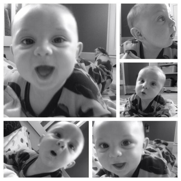 quincylanders's tweet photo. Tummy time photo shoot http://t.co/YFTPY2Rdt7