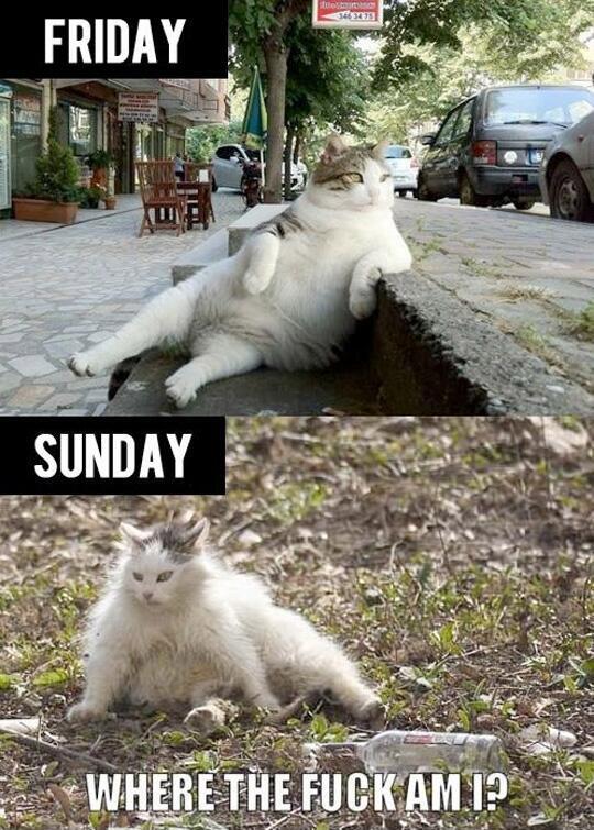 funnylaugh4u's tweet photo. Weekend Is Here:D http://t.co/QjN2Q400rD