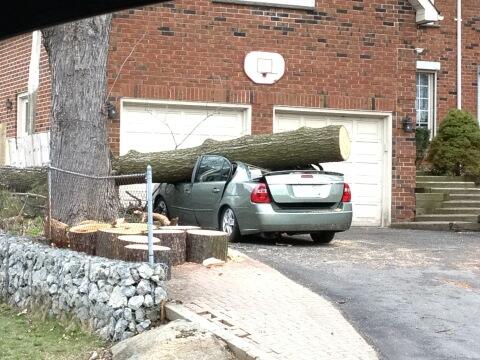 DOUGD9's tweet image. 