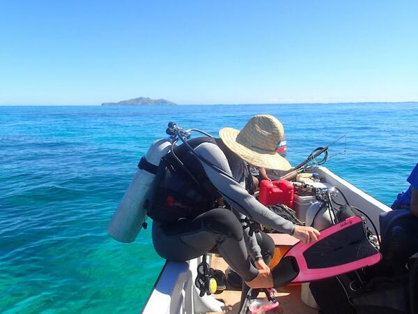 PalmleaFarms's tweet photo. Come #scuba #dive in #Fiji with us! http://t.co/fEaBcwD91S http://t.co/4VjFzSiCty