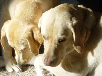 [Image: BKgJW7LCEAAZJSq.jpg:large]