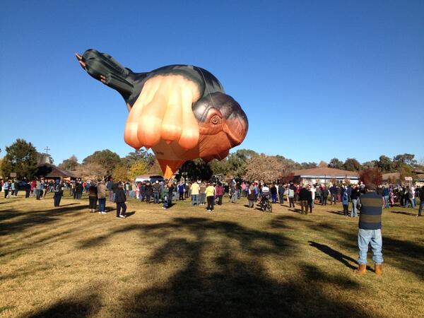 Cheers from the crowd for #skywhale