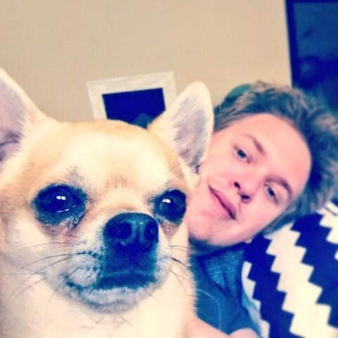 musik_peter's tweet photo. @Jenna_Marbles What are this? #Elliot_the_dog http://t.co/l2BQpcgA9E