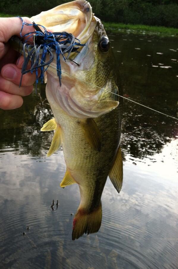 stationsix's tweet image. Awesome morning on the water with my #KustomKickerJigs! This is number 4 today on the Dock Monkey. #2kCrew