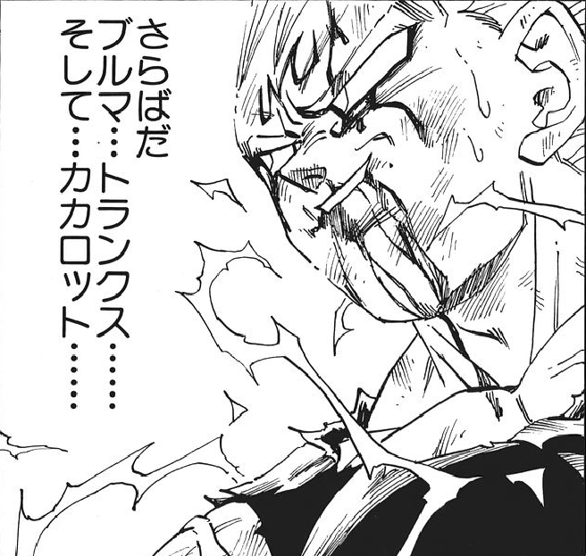 ドラゴンボール名言集 おのれの命を捨ててまで はじめて自分以外の者の為に戦うことを選んだベジータ T Co 9dg1nxcl5n ドラゴンボール名言集 おのれの命を捨ててまで はじめて自分以外の者の為に戦うことを選んだベジータ T Co 9dg1nxcl5n