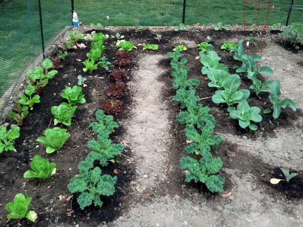 mx5d's tweet image. :-)