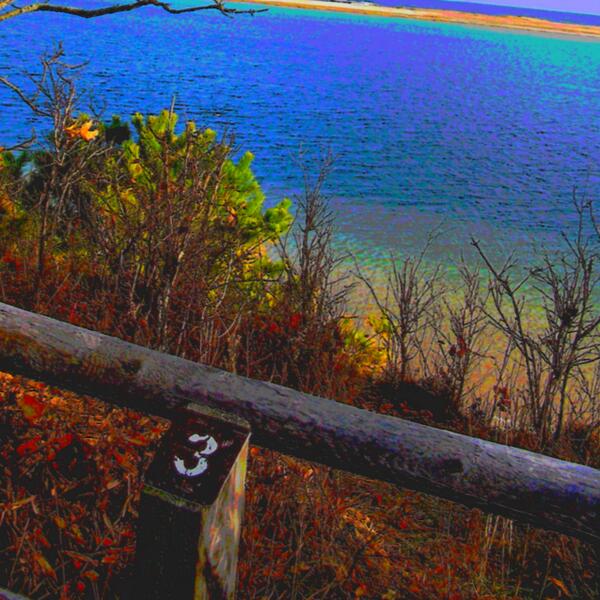 RoboticBird's tweet image. Lookout #SpringInFullSwing