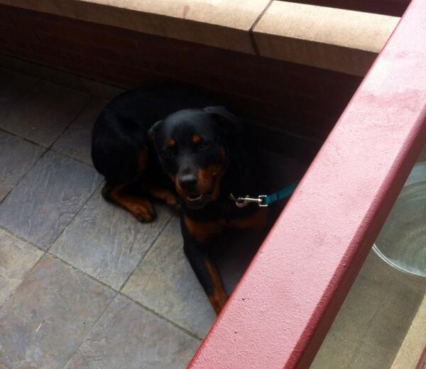 dcobborless's tweet image. Our drinking buddy at #22below in #GH