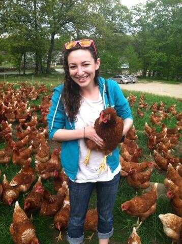 Oh hai chicken #organicfarm #rhodeisland