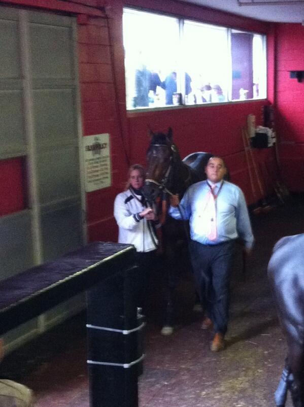 Getting ready for the big race- can't wait! #euphORBia